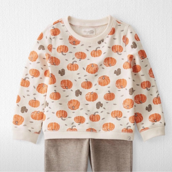 Little planet autumn pumpkin long sleeve top - Picture 1 of 6